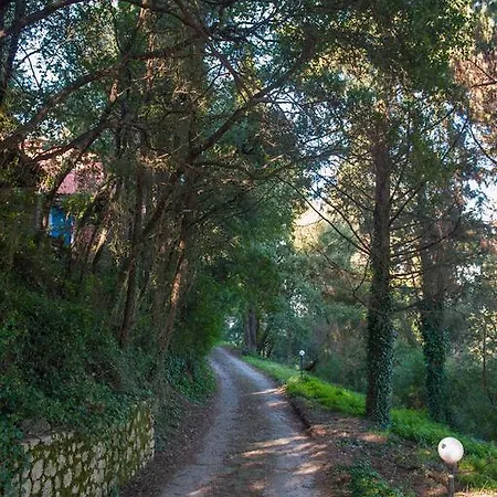 Apartamento Wildrose Corfu (city)